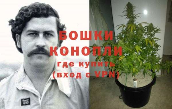 PSILOCYBIN Кукмор