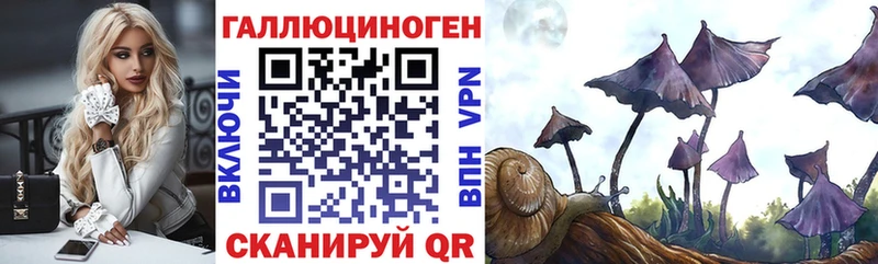 Галлюциногенные грибы мицелий Слюдянка